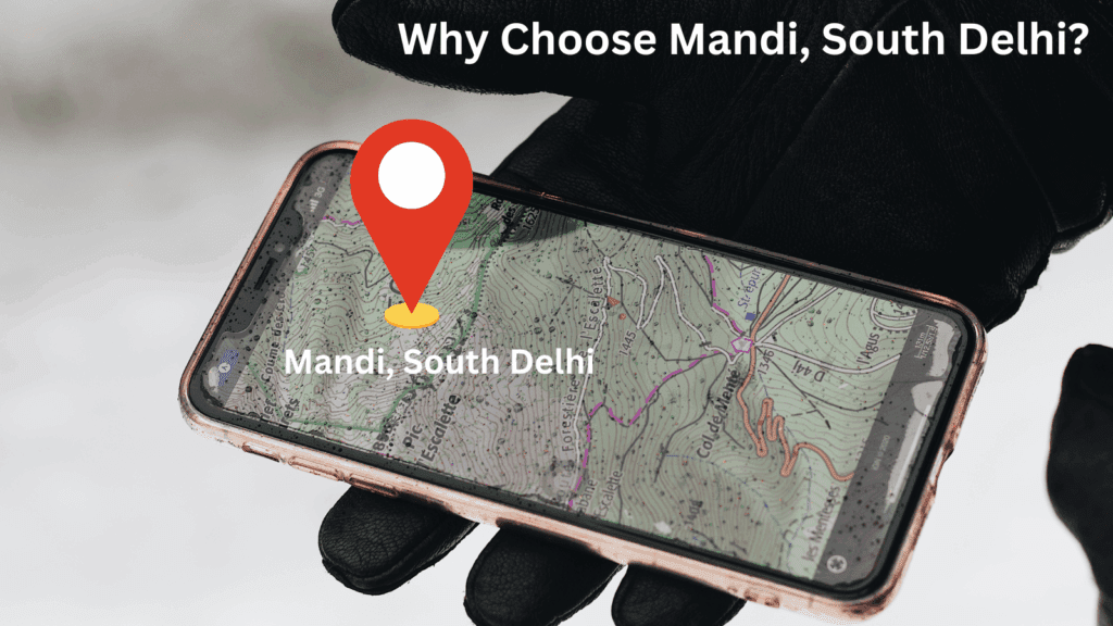 Why Choose Mandi, South Delhi?