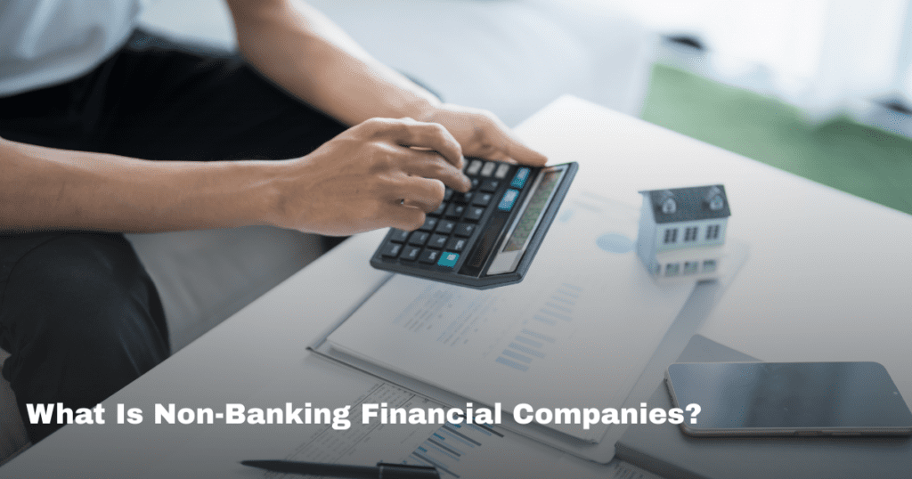 What Is Non-Banking Financial Companies?